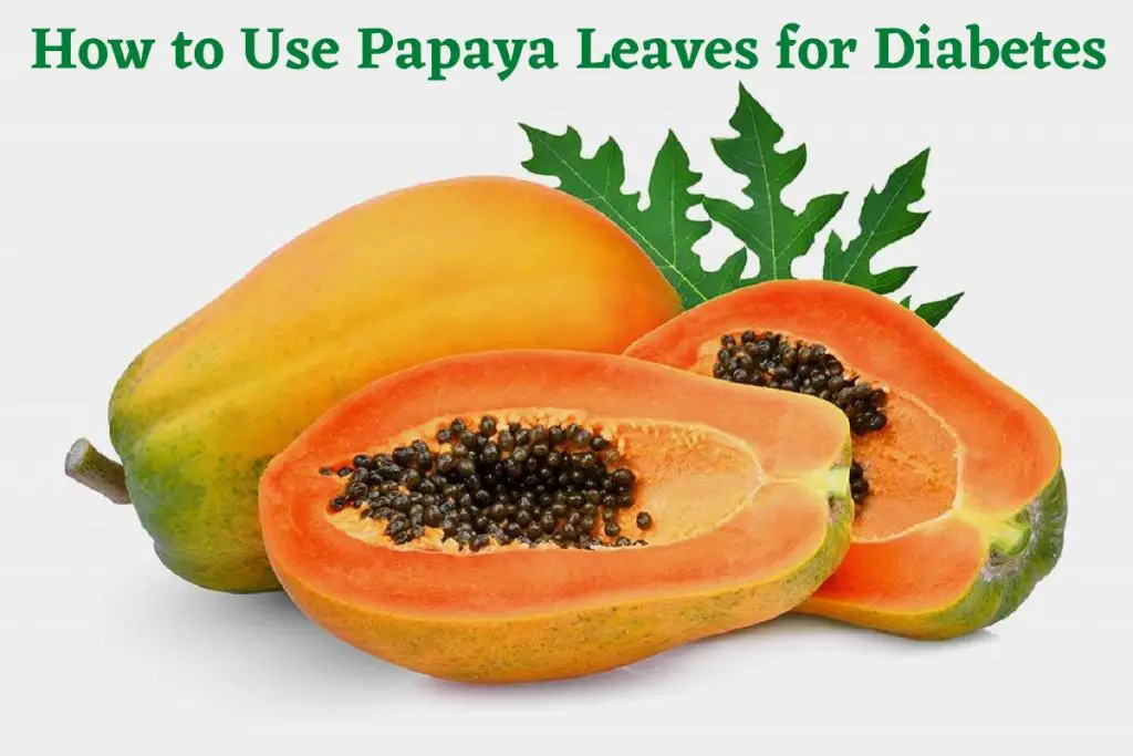 How to Use Papaya Leaves for Diabetes?