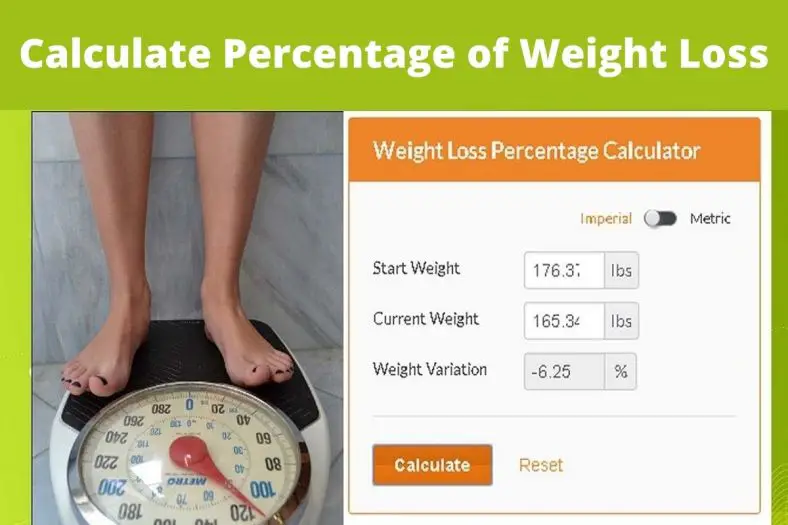 how-to-calculate-percentage-of-weight-loss