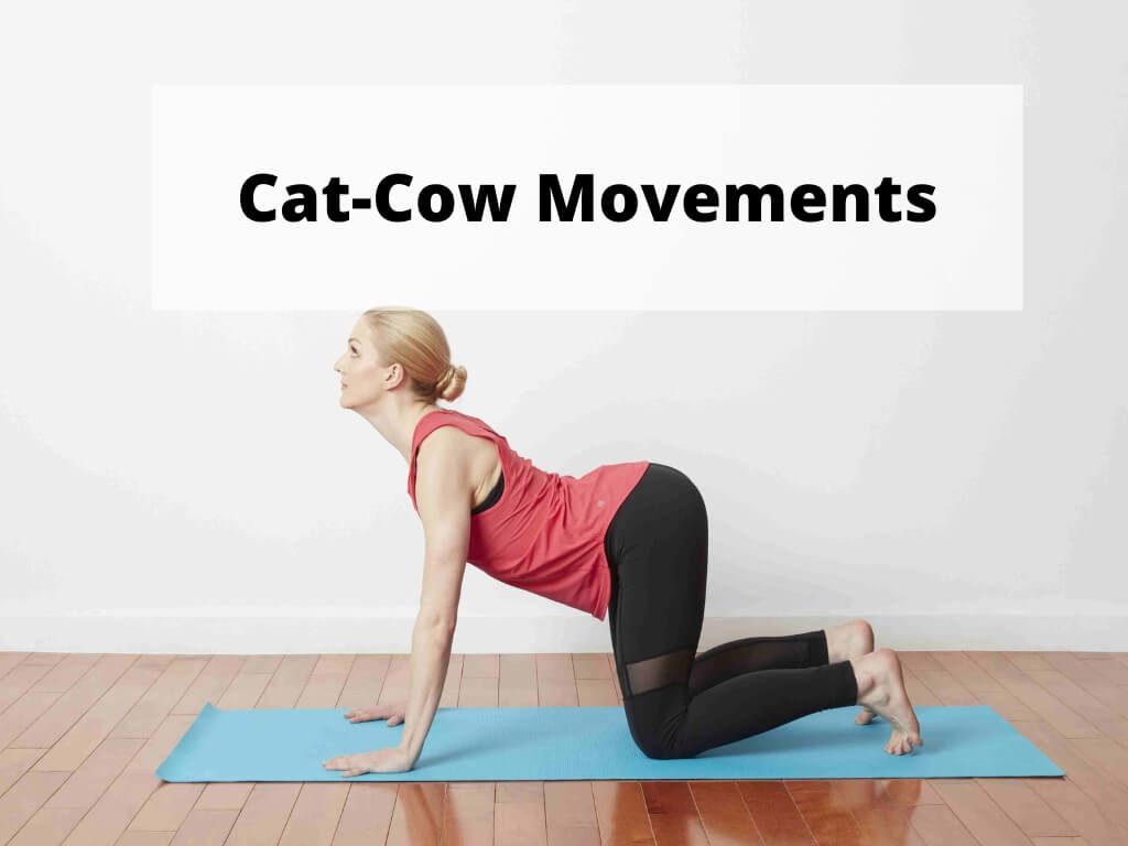 Cat-Cow Movements