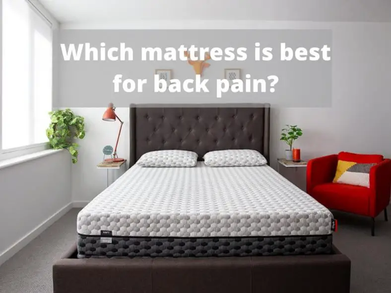 Which Mattress is Best for Back Pain? Robustalive