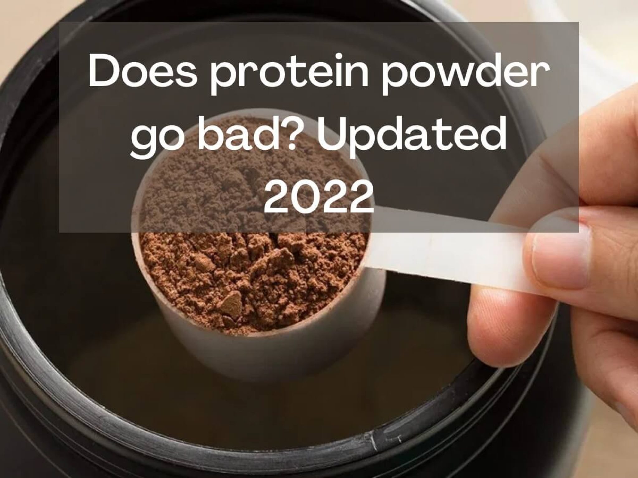 Does Protein Powder Go Bad? Updated 2022 Robustalive