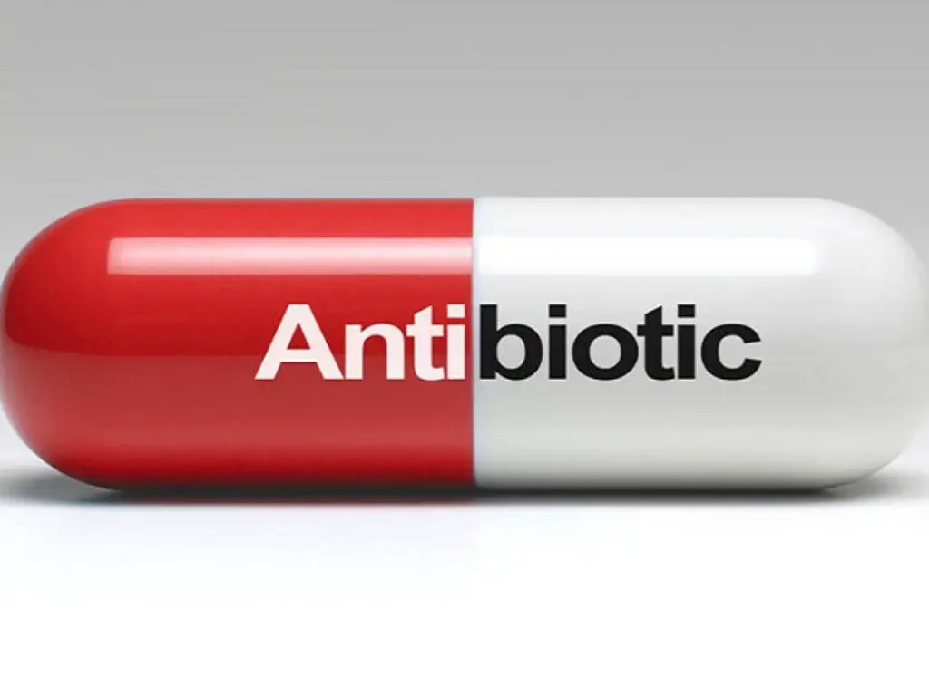 Will Bactrim Treat a Tooth Infection? Know the Truth