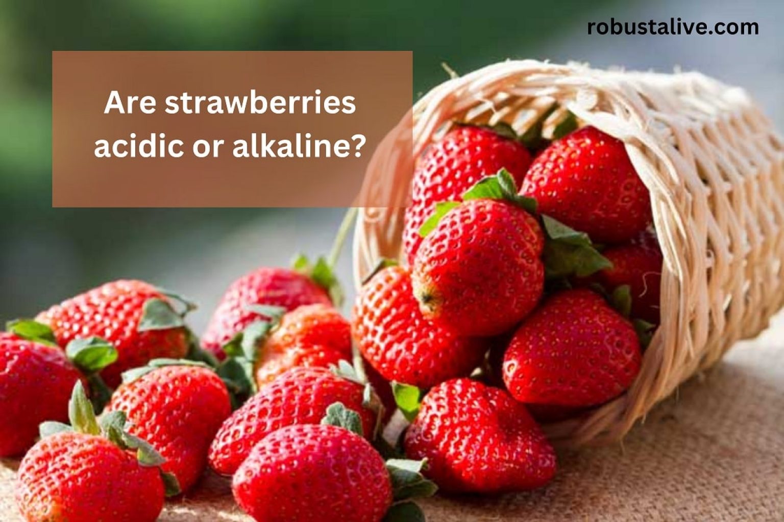 Are Strawberries Acidic or Alkaline? Robustalive