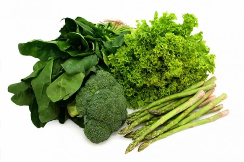 Best 15 low carb vegetables make the healthiest choice