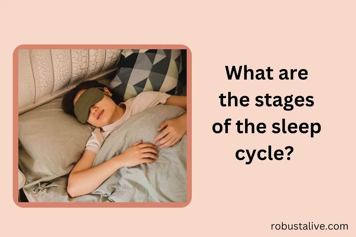 What are The Stages of The Sleep Cycle