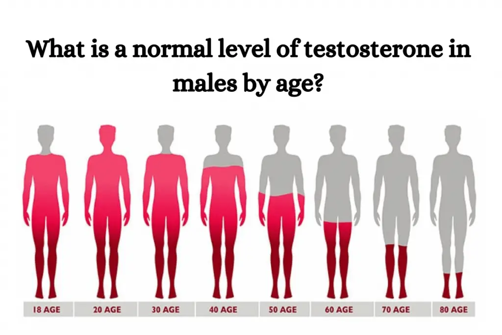 What is a normal level of testosterone in males by age? - Robustalive