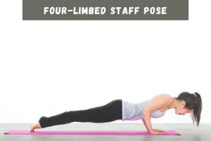 Four-Limbed Staff Pose yoga