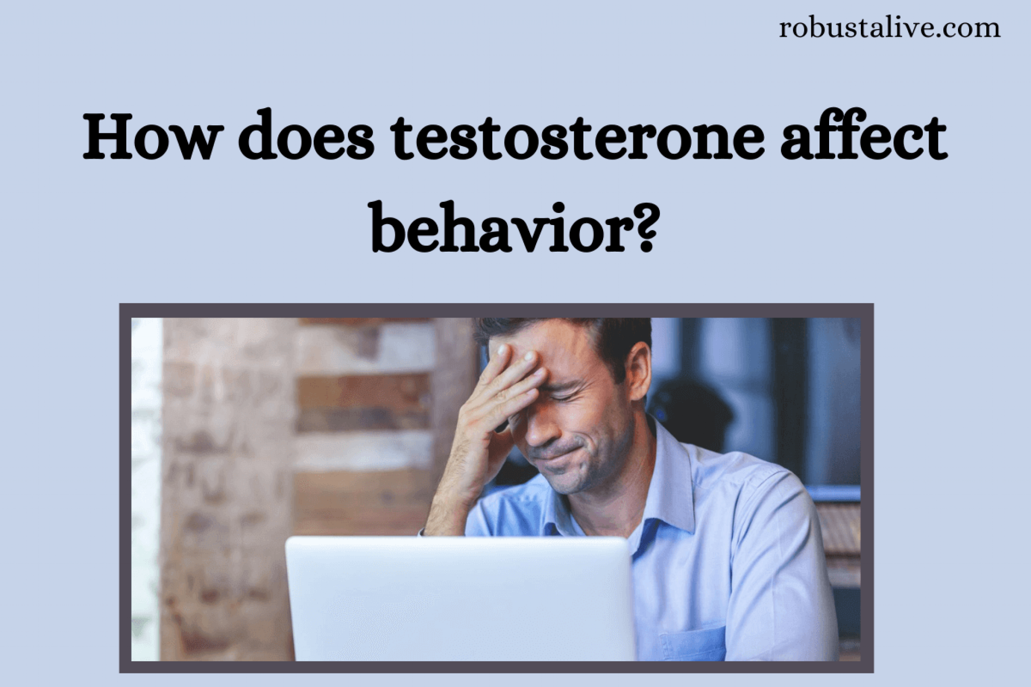 How Does Testosterone Affect Behavior Robustalive