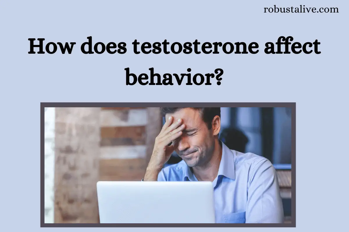 How does testosterone affect behavior?