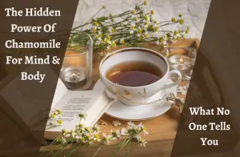 The Hidden Power Of Chamomile For Mind & Body