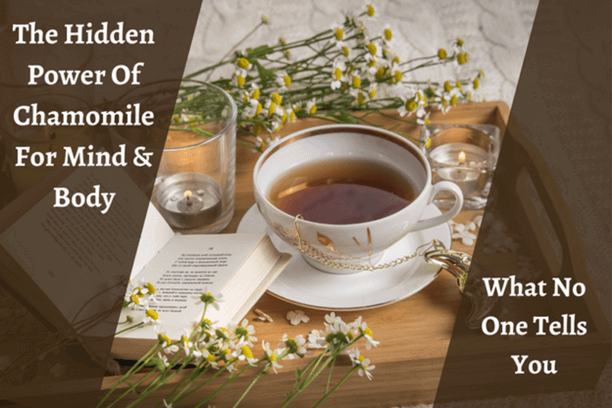 The Hidden Power Of Chamomile For Mind & Body