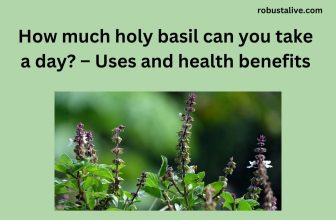 How Much Holy Basil can You Take a Day