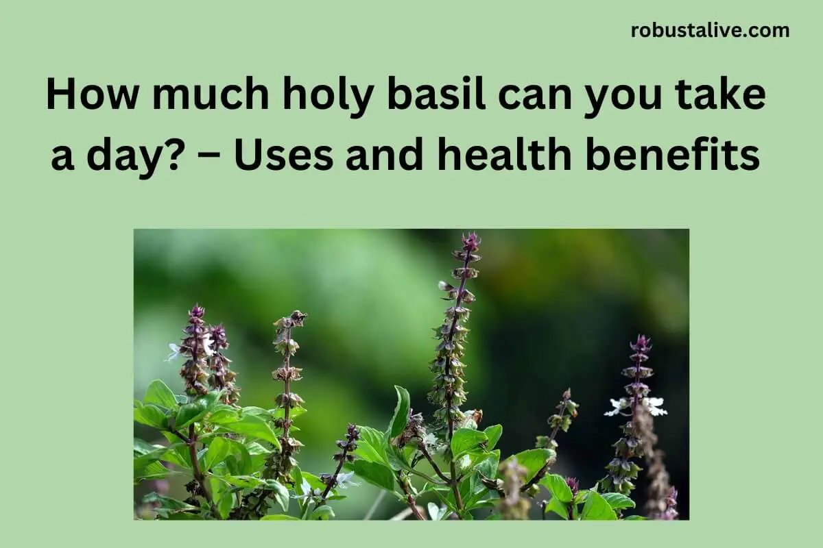 How Much Holy Basil can You Take a Day