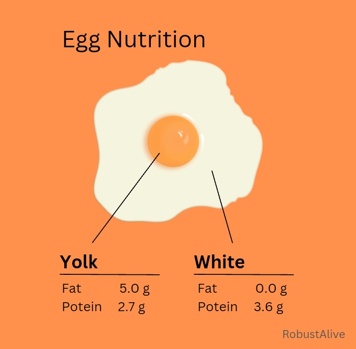 What Causes Egg-related Heartburn