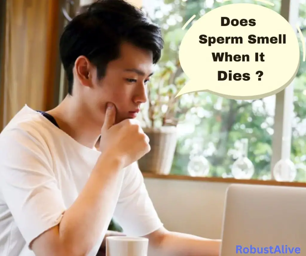 Revealing The Truth Does Sperm Smell When It Dies? Robustalive
