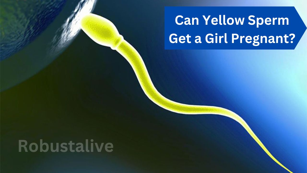 Can Yellow Sperm Get a Girl Pregnant