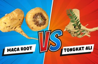 Maca root vs tongkat ali