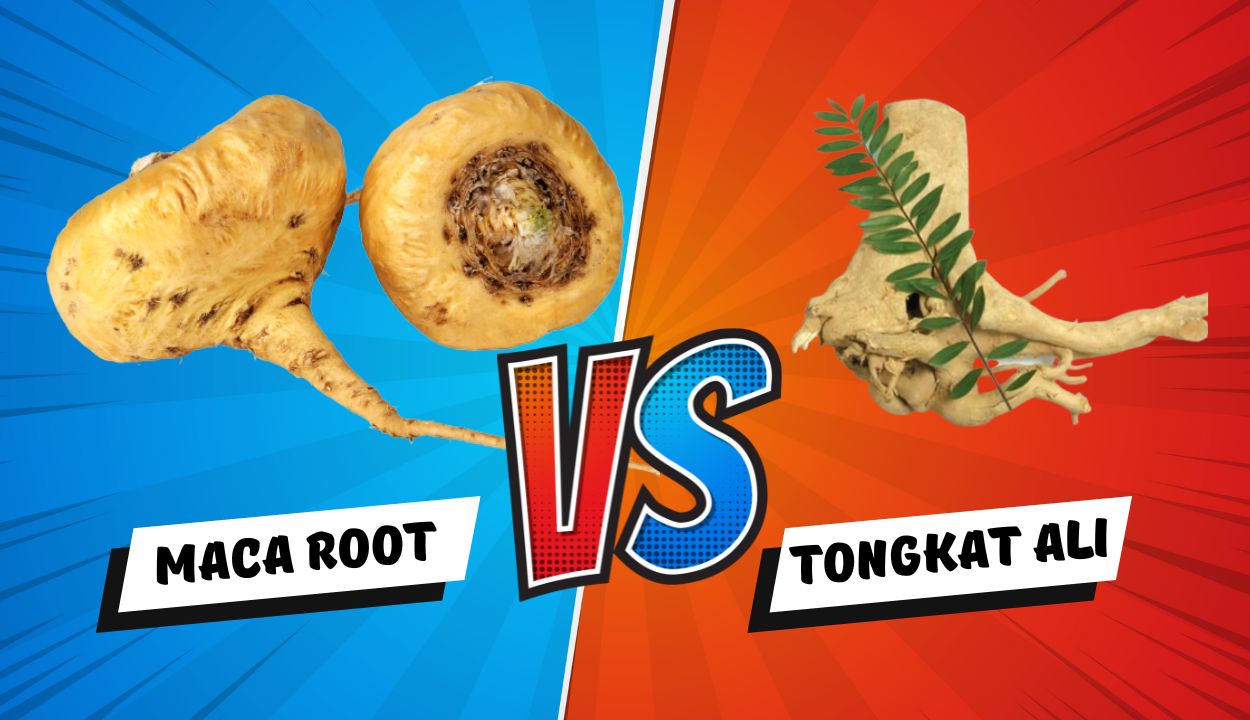 Maca root vs tongkat ali