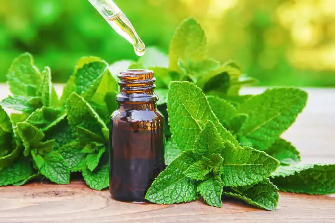 Peppermint For Digestive Comfort