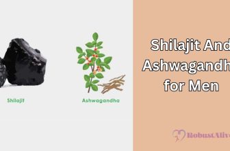 Shilajit And Ashwagandha for Men