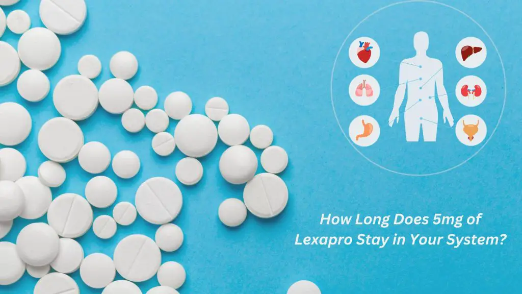 How Long Does 5mg of Lexapro Stay in Your System? Robustalive