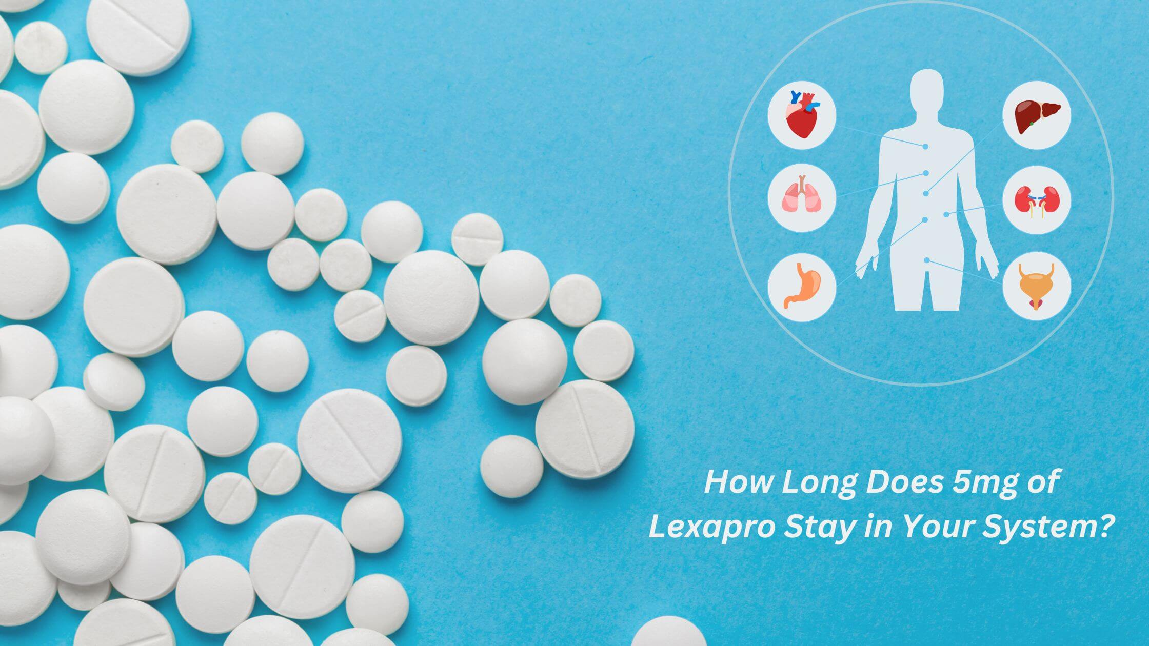 How long does 5 mg of lexapro stay in your system