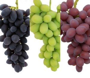 what color of grapes are healthiest