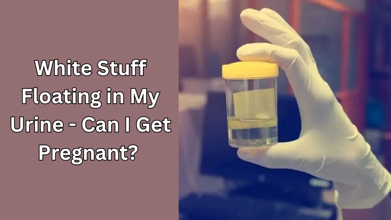 White Stuff Floating in My Urine - Can I Get Pregnant? 