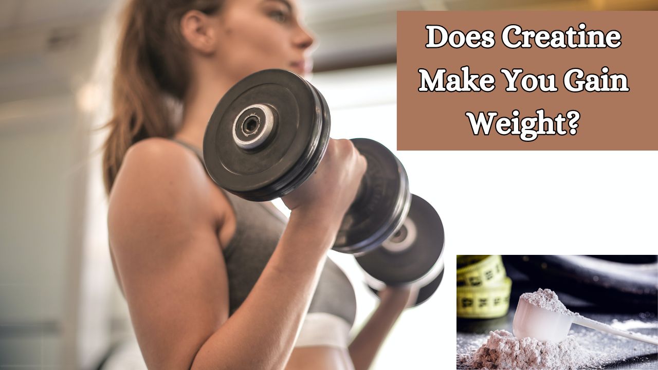 Does Creatine Make You Gain Weight 1