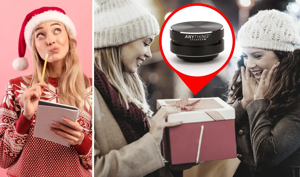 Anything Speaker as gift