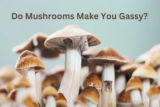 Do Mushrooms Make You Gassy?