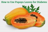 How to Use Papaya Leaves for Diabetes? Effective Treatment Methods