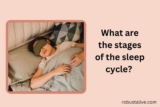 What are The Stages of The Sleep Cycle? Interesting Facts